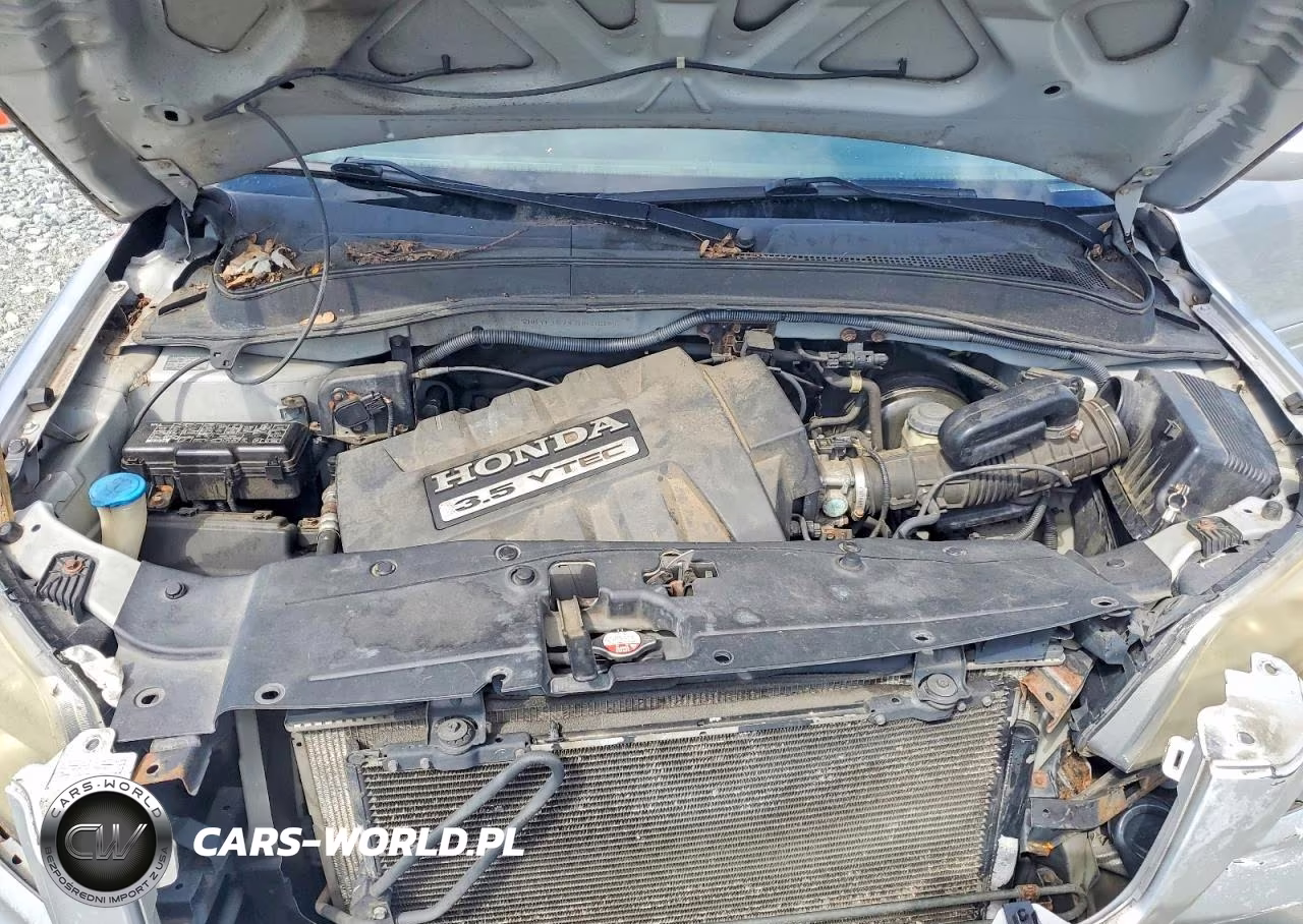 2007 Honda Pilot Exl VIN:2HKYF18797H536399 - 12
