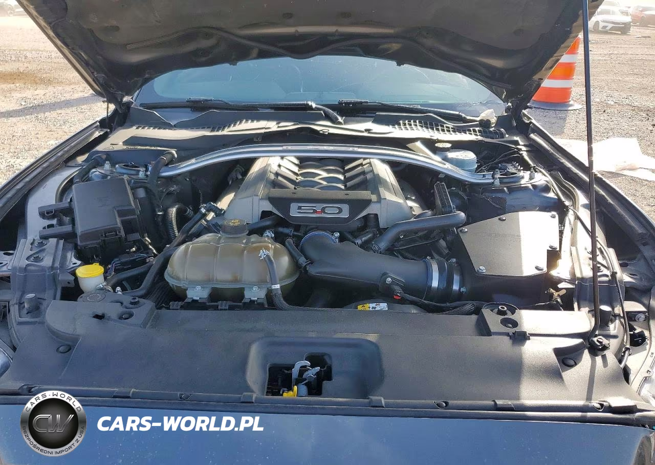 2015 Ford Mustang Gt VIN:1FATP8FF6F5332738 - 11