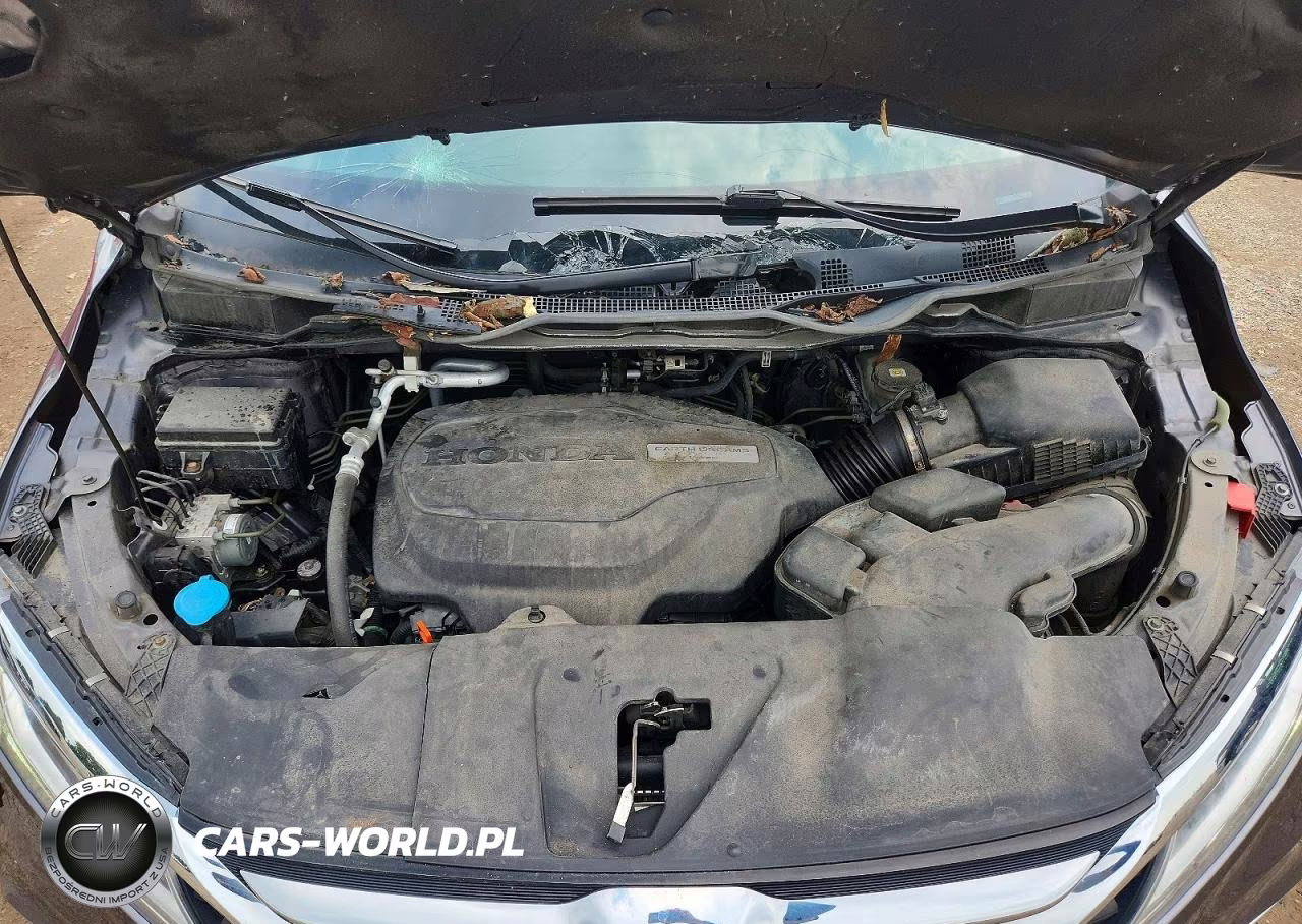 2019 Honda Odyssey Elite VIN:5FNRL6H91KB038023 - 11