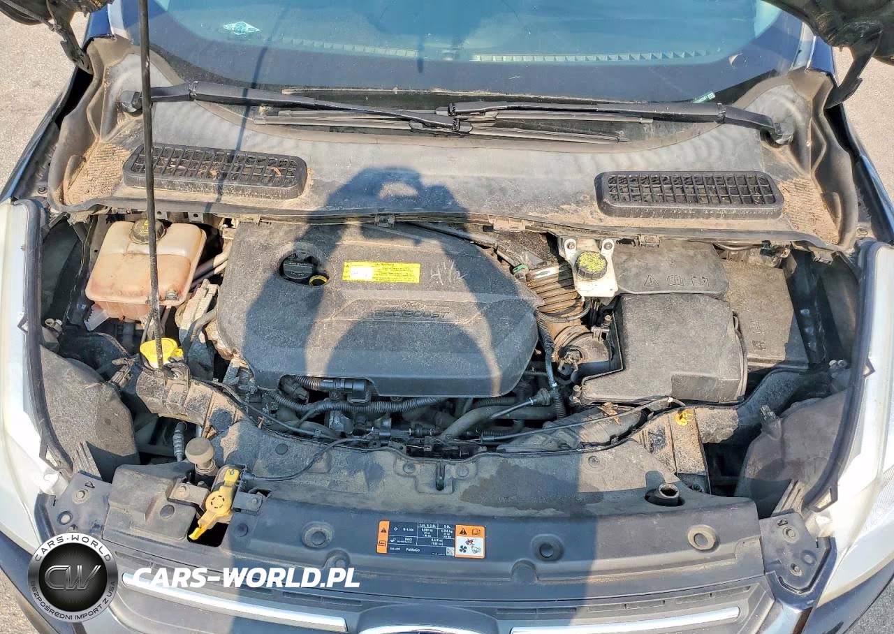 2016 Ford Escape Se VIN:1FMCU0GX8GUA63981 - 11