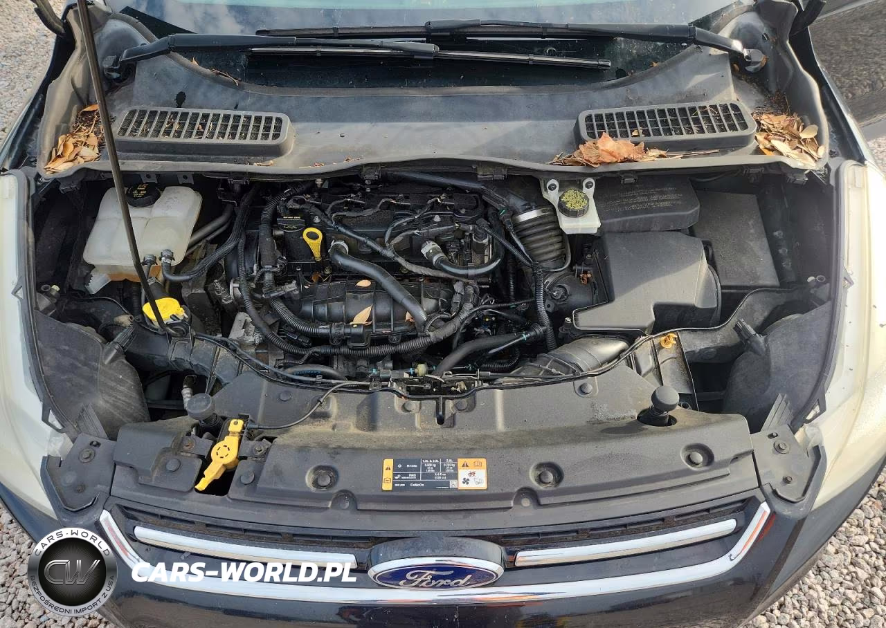 2014 Ford Escape Titanium VIN:1FMCU9JXXEUE19860 - 12