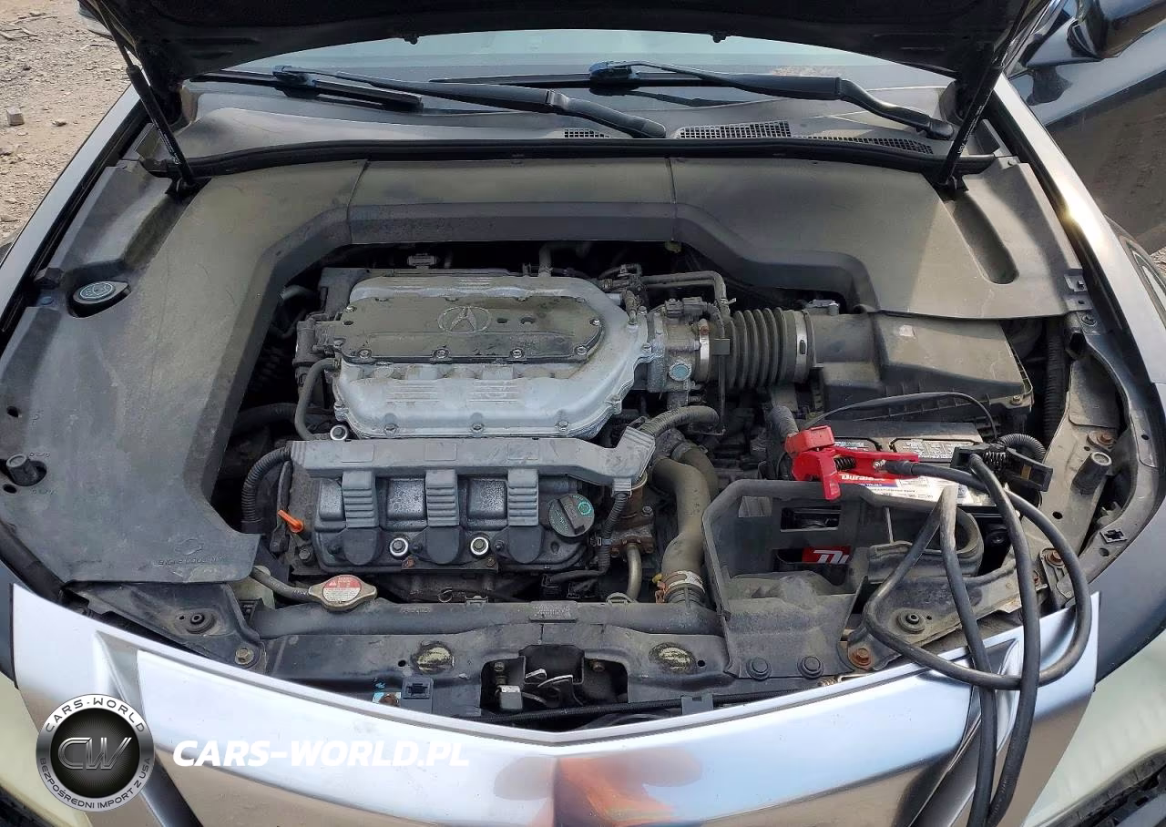 2009 Acura Tl VIN:19UUA86209A003351 - 11