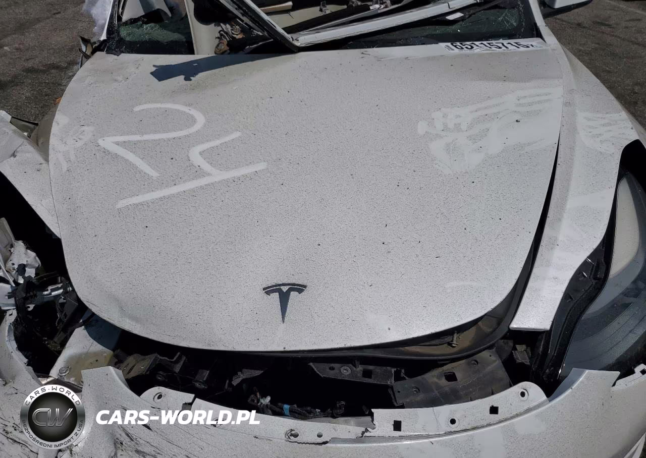 2023 Tesla Model 3 VIN:5YJ3E1EA6PF495998 - 11