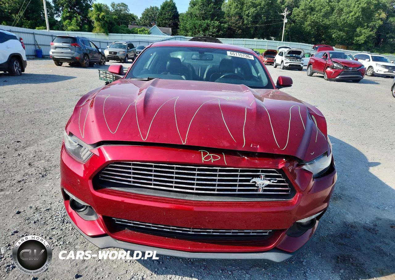 2017 Ford Mustang VIN:1FA6P8THXH5332523 - 5