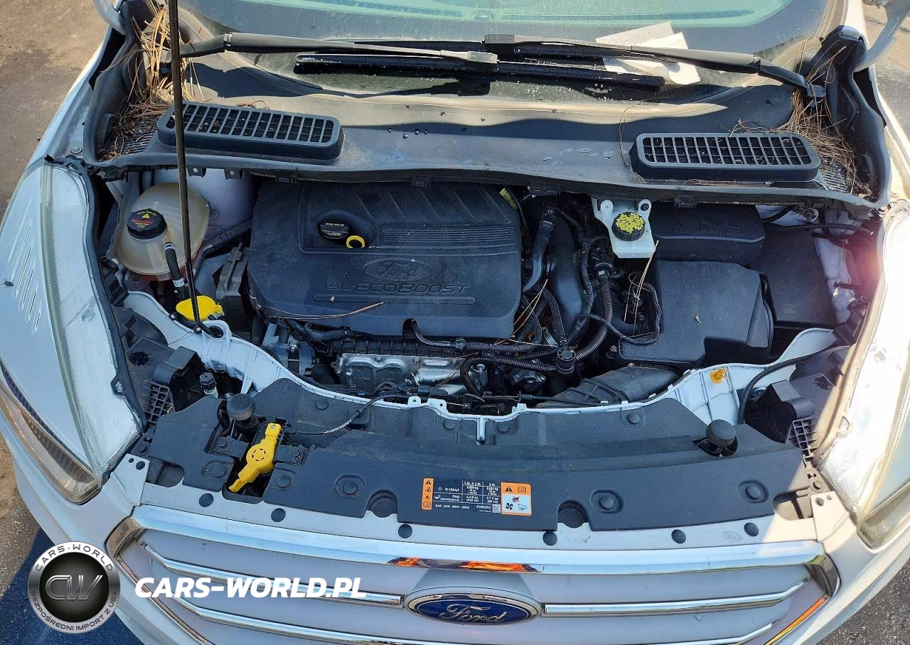 2018 Ford Escape Se VIN:1FMCU9GD6JUB19711 - 12