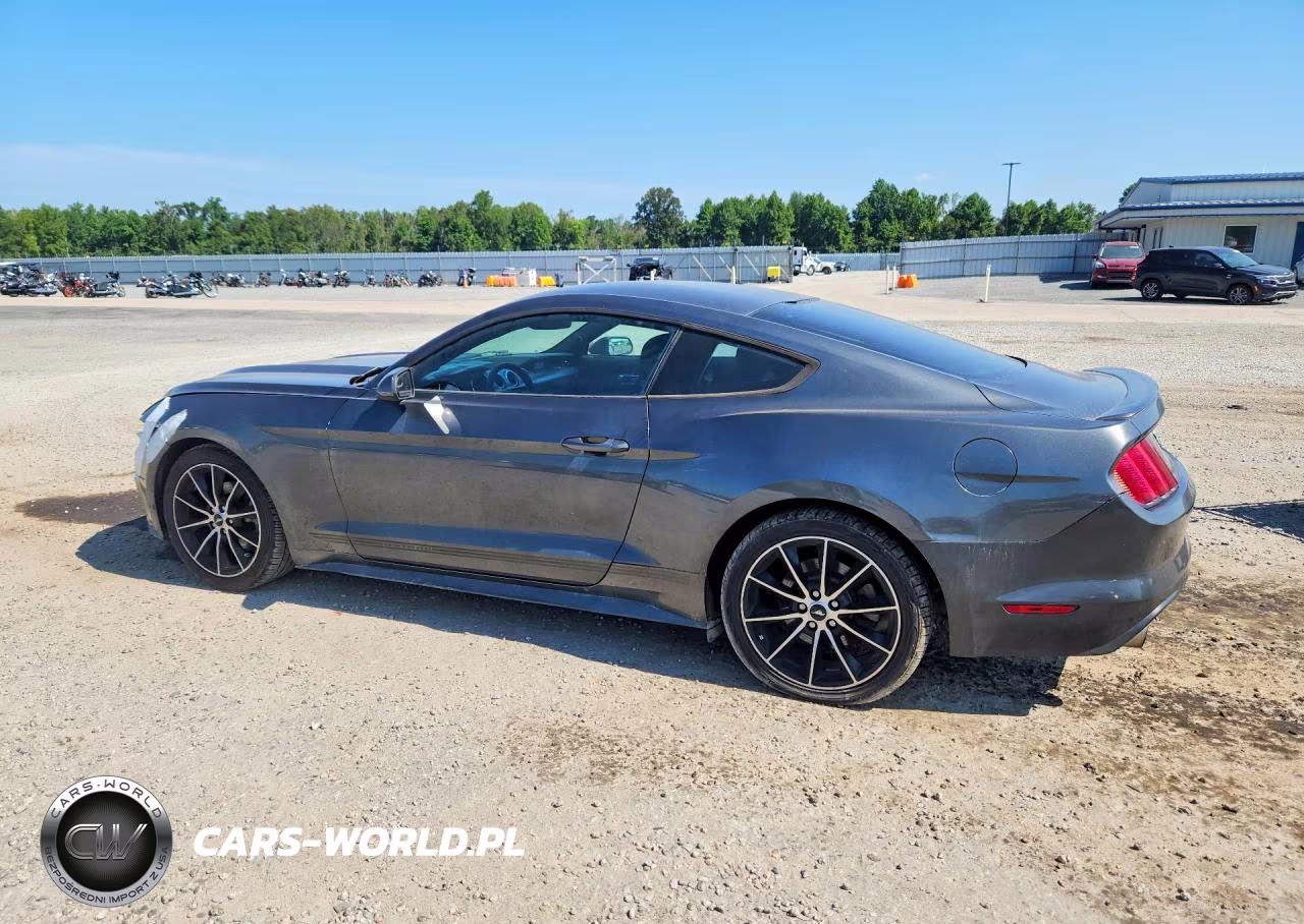 2016 Ford Mustang VIN:1FA6P8TH1G5276843 - 2