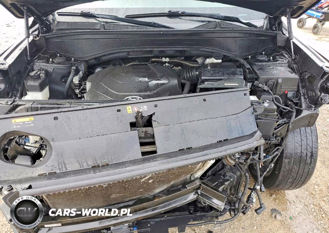 2020 Hyundai Palisade Sel VIN:KM8R34HE9LU040737 - 12