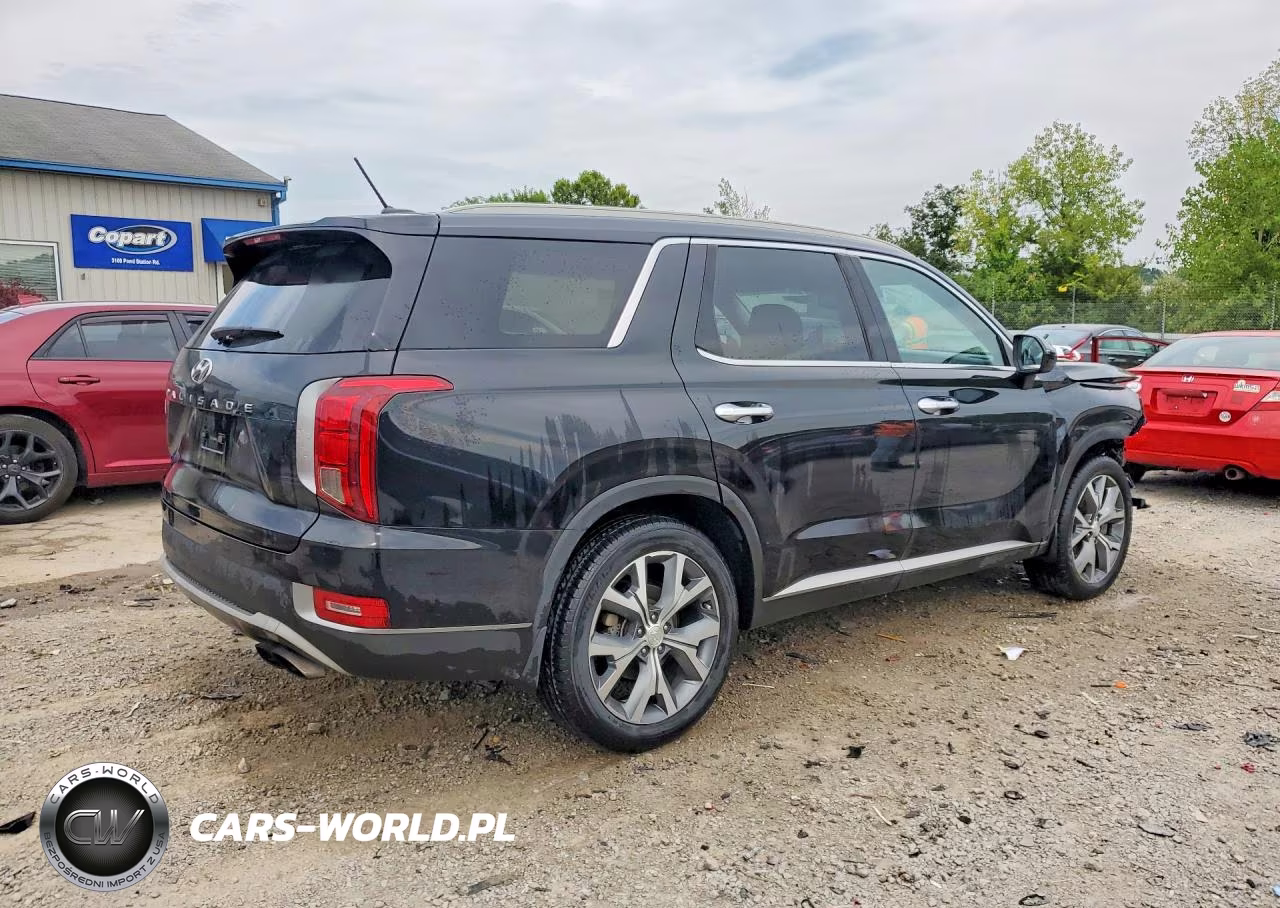 2020 Hyundai Palisade Sel VIN:KM8R34HE9LU040737 - 3