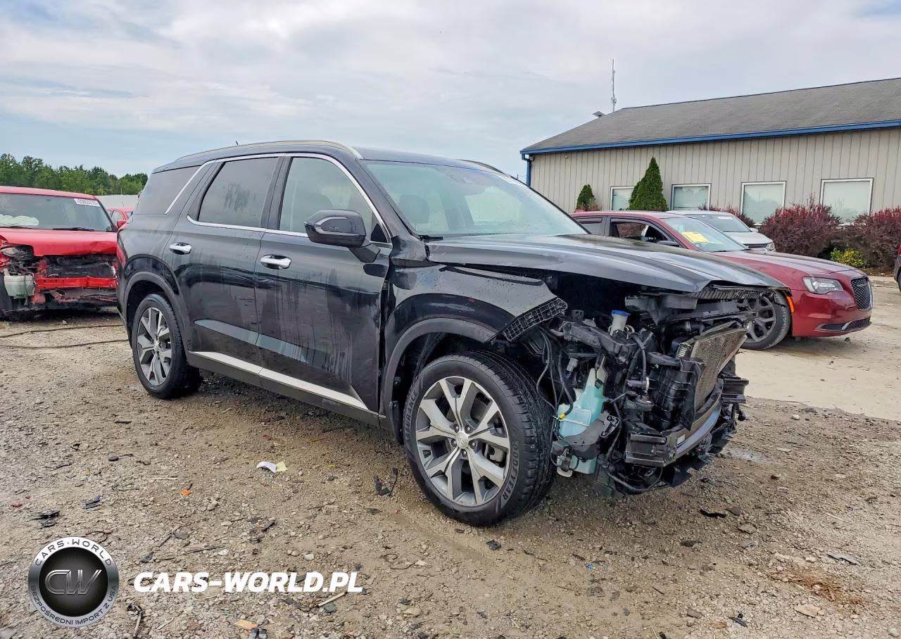 2020 Hyundai Palisade Sel VIN:KM8R34HE9LU040737 - 4