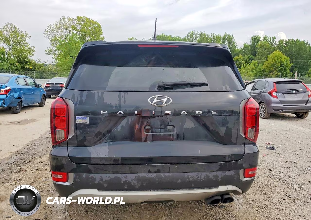 2020 Hyundai Palisade Sel VIN:KM8R34HE9LU040737 - 6