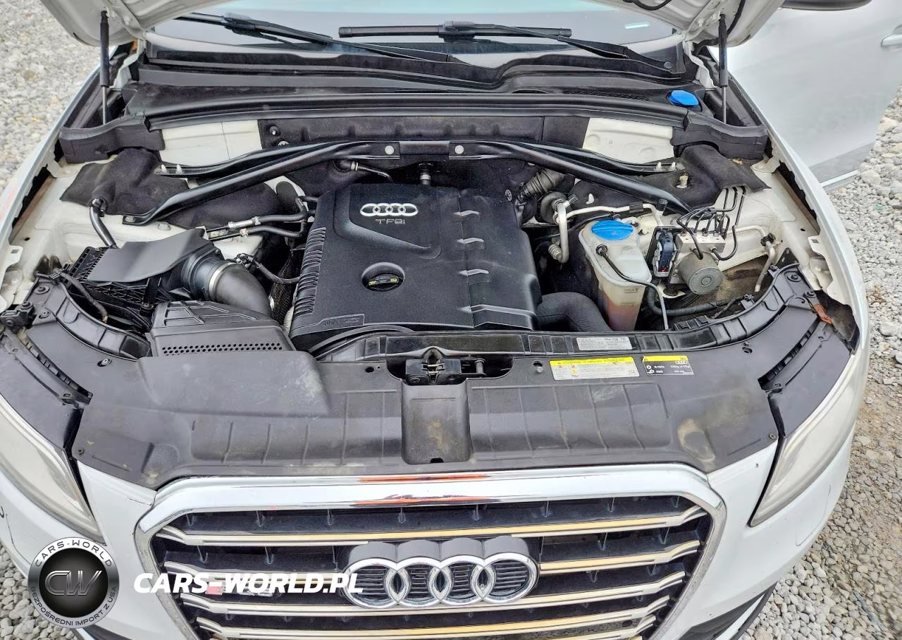 2014 Audi Q5 Premium Plus VIN:WA1LFAFP0EA123914 - 12
