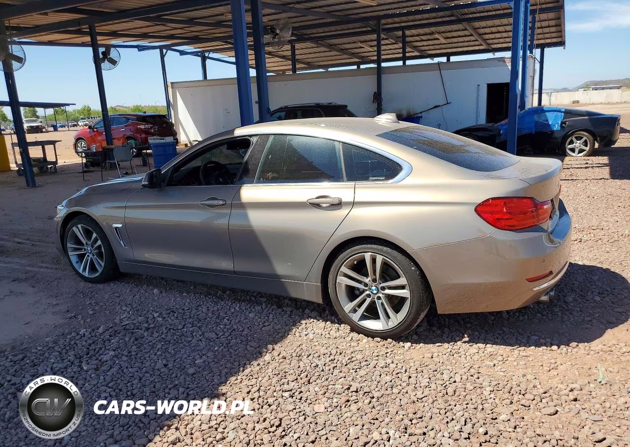 2016 BMW 428 I Gran Coupe Sulev VIN:WBA4A9C54GG506763 - 2