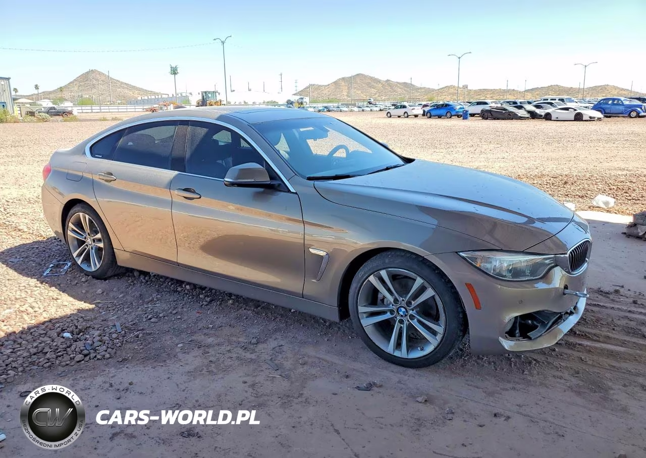 2016 BMW 428 I Gran Coupe Sulev VIN:WBA4A9C54GG506763 - 4