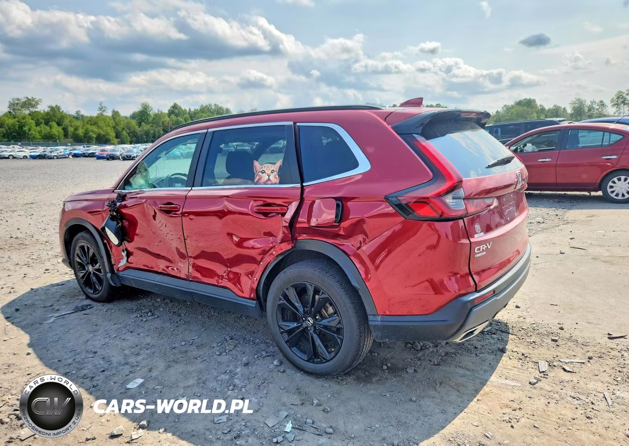 2024 Honda Cr-V Sport Touring VIN:2HKRS6H9XRH808749 - 2