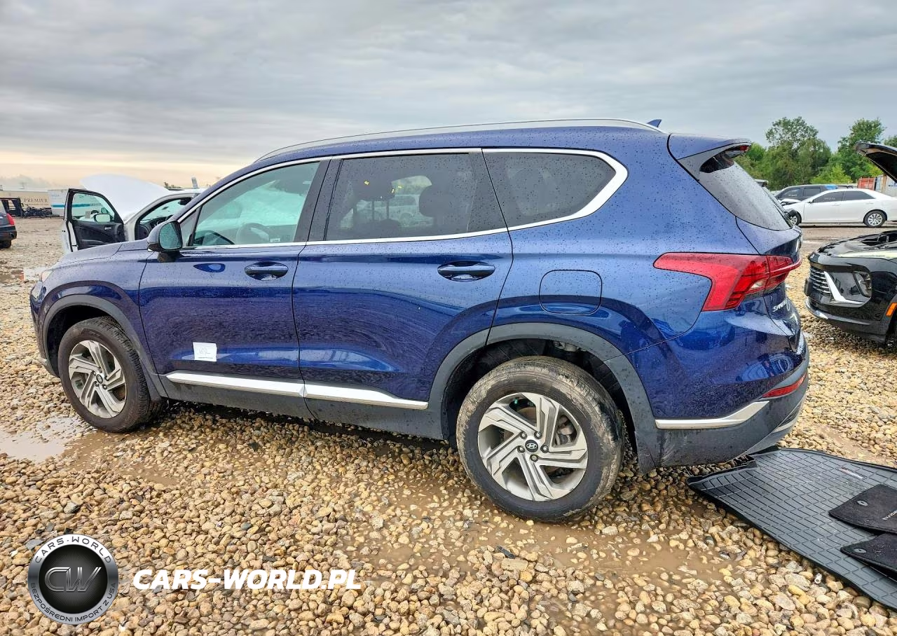 2021 Hyundai Santa Fe Sel VIN:5NMS2DAJ7MH342892 - 2