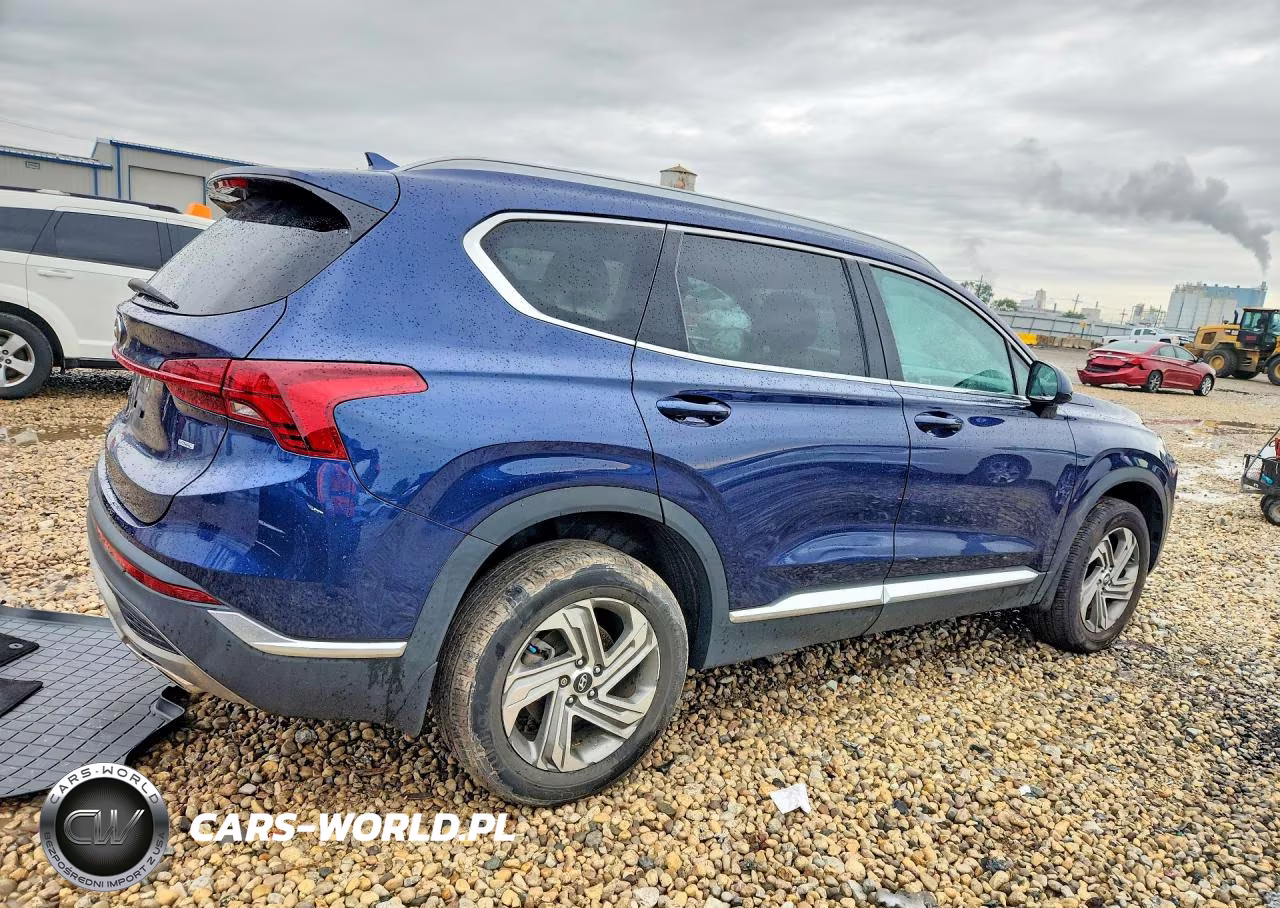 2021 Hyundai Santa Fe Sel VIN:5NMS2DAJ7MH342892 - 3