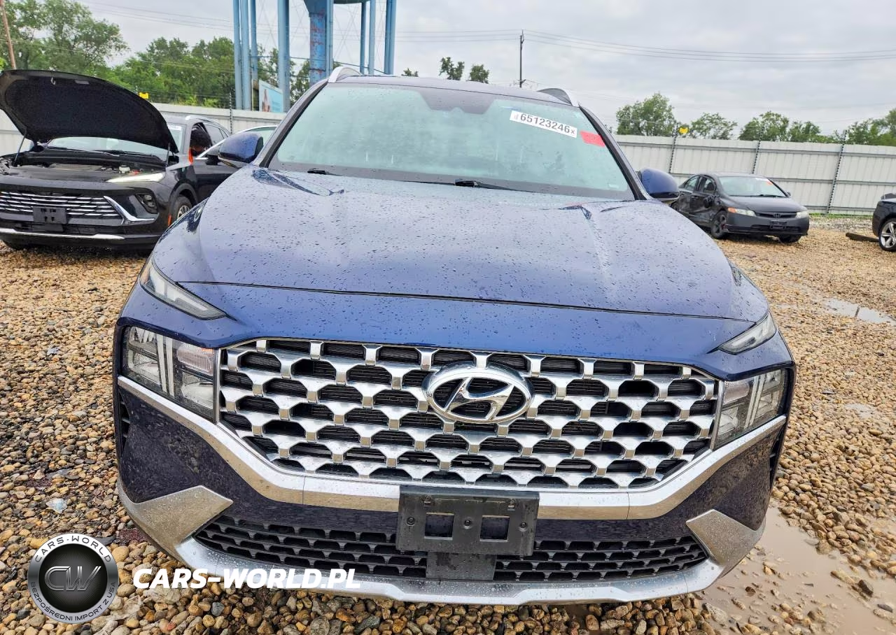 2021 Hyundai Santa Fe Sel VIN:5NMS2DAJ7MH342892 - 5