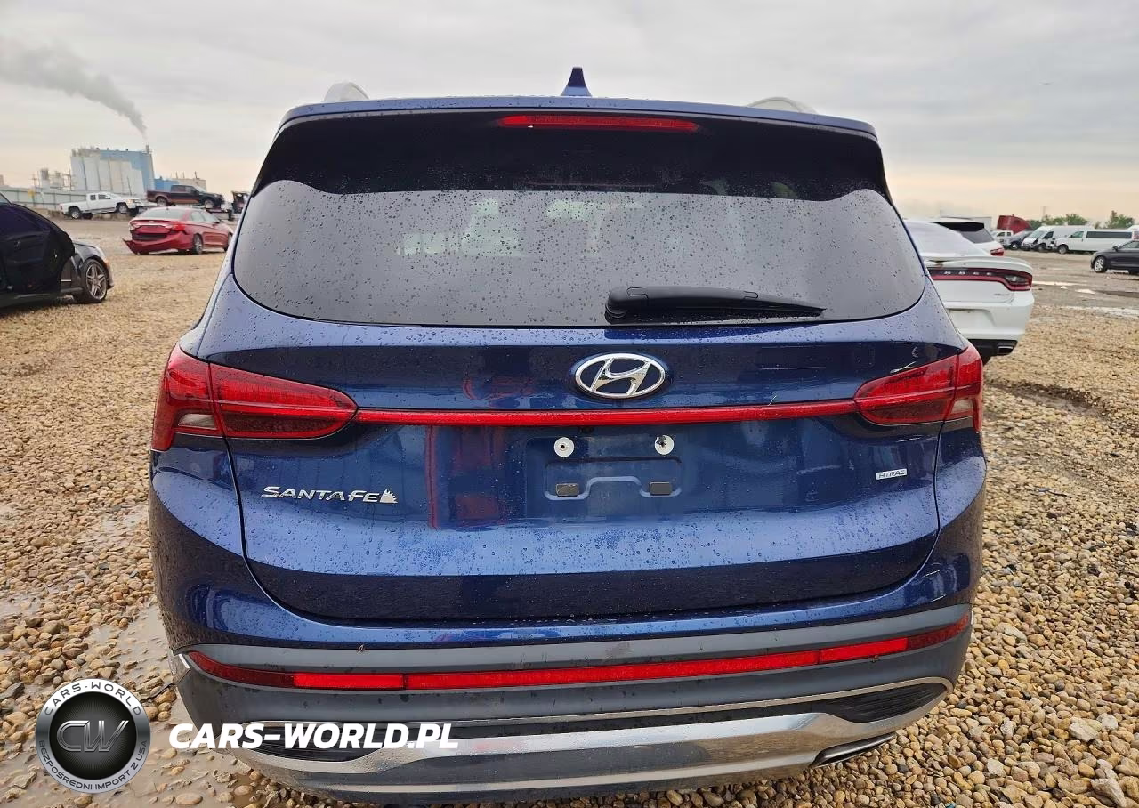 2021 Hyundai Santa Fe Sel VIN:5NMS2DAJ7MH342892 - 6