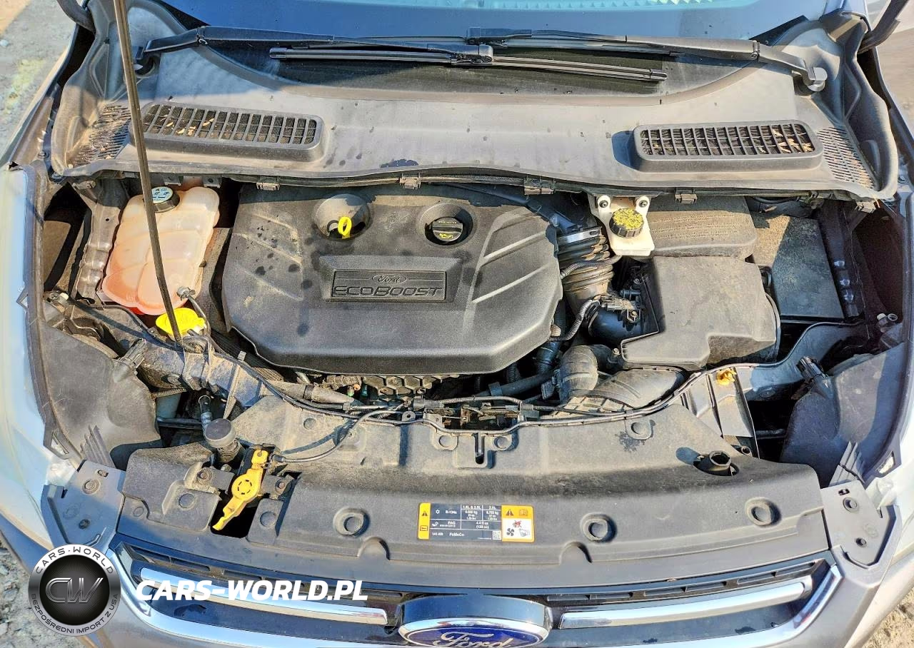 2013 Ford Escape Sel VIN:1FMCU9H96DUC90294 - 12