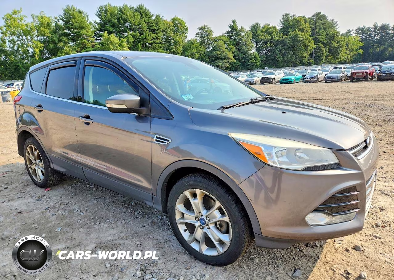 2013 Ford Escape Sel VIN:1FMCU9H96DUC90294 - 4