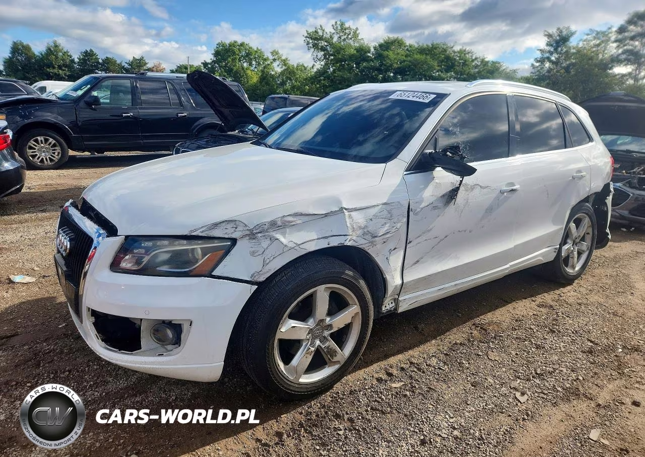 2010 Audi Q5 Premium Plus VIN:WA1LKAFP7AA105464 - 1