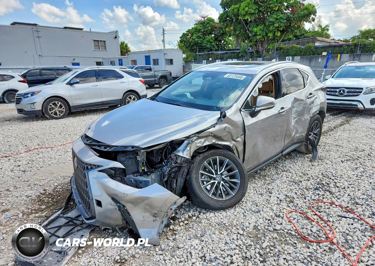 2025 Lexus Nx 250 Premium VIN:2T2GDCAZ5SC025644 - 1