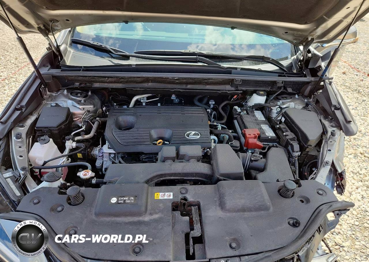 2025 Lexus Nx 250 Premium VIN:2T2GDCAZ5SC025644 - 11