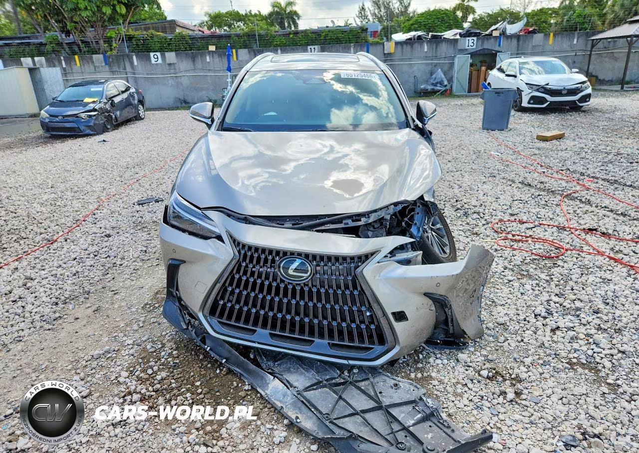 2025 Lexus Nx 250 Premium VIN:2T2GDCAZ5SC025644 - 5