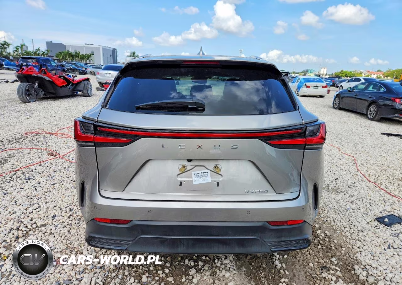 2025 Lexus Nx 250 Premium VIN:2T2GDCAZ5SC025644 - 6