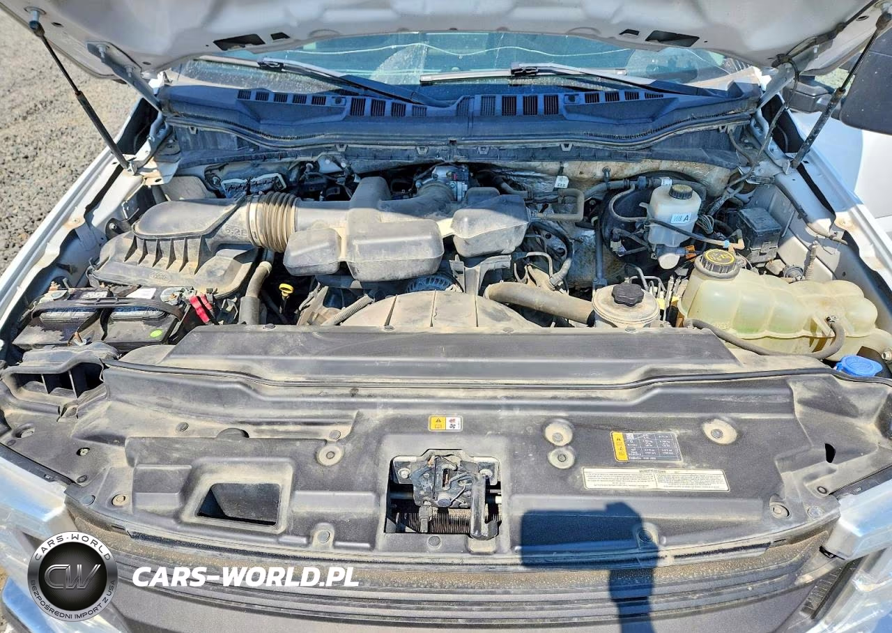2019 Ford F350 Super Duty VIN:1FT8W3B63KED26224 - 12