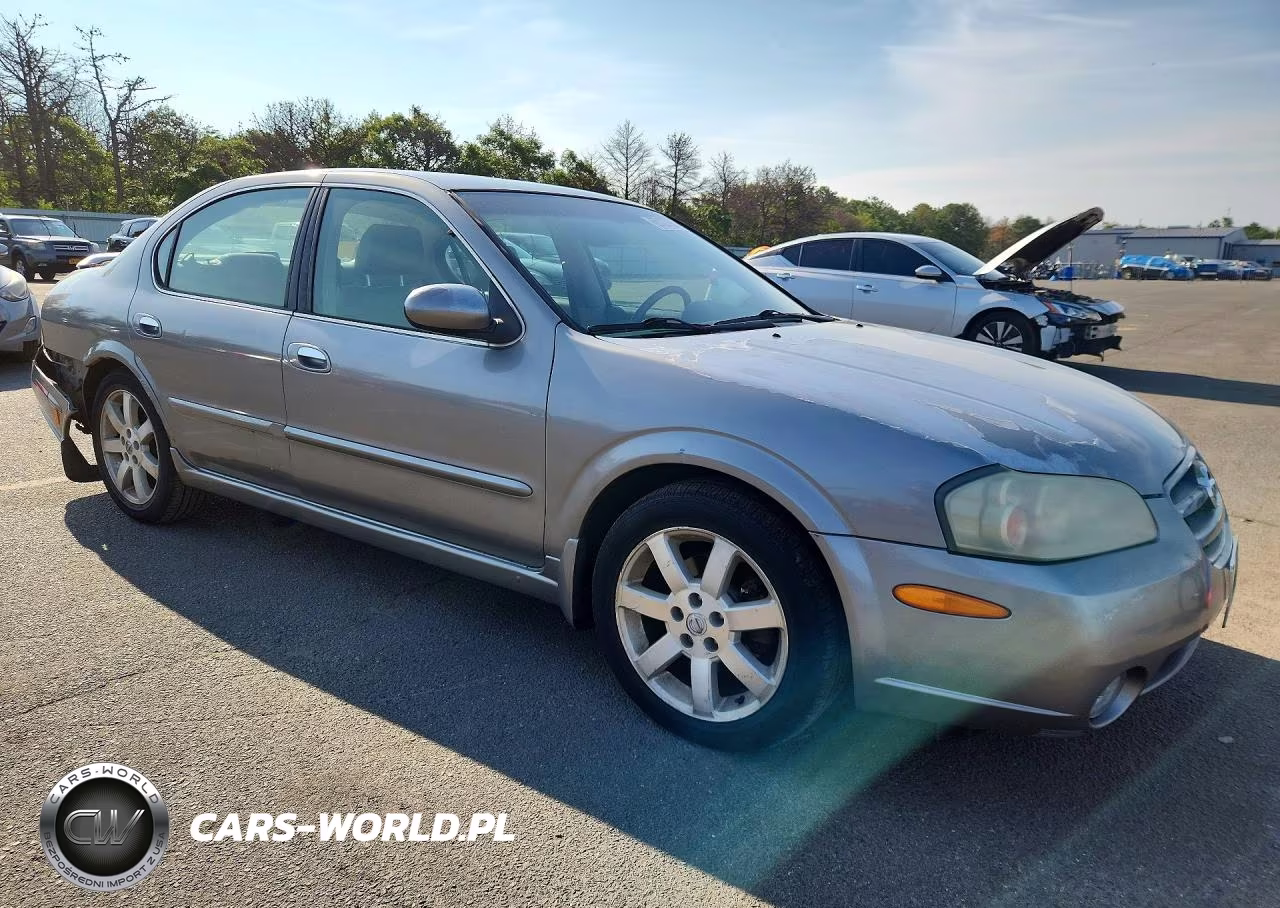 2002 Nissan Maxima Gxe VIN:JN1DA31A42T310275 - 4