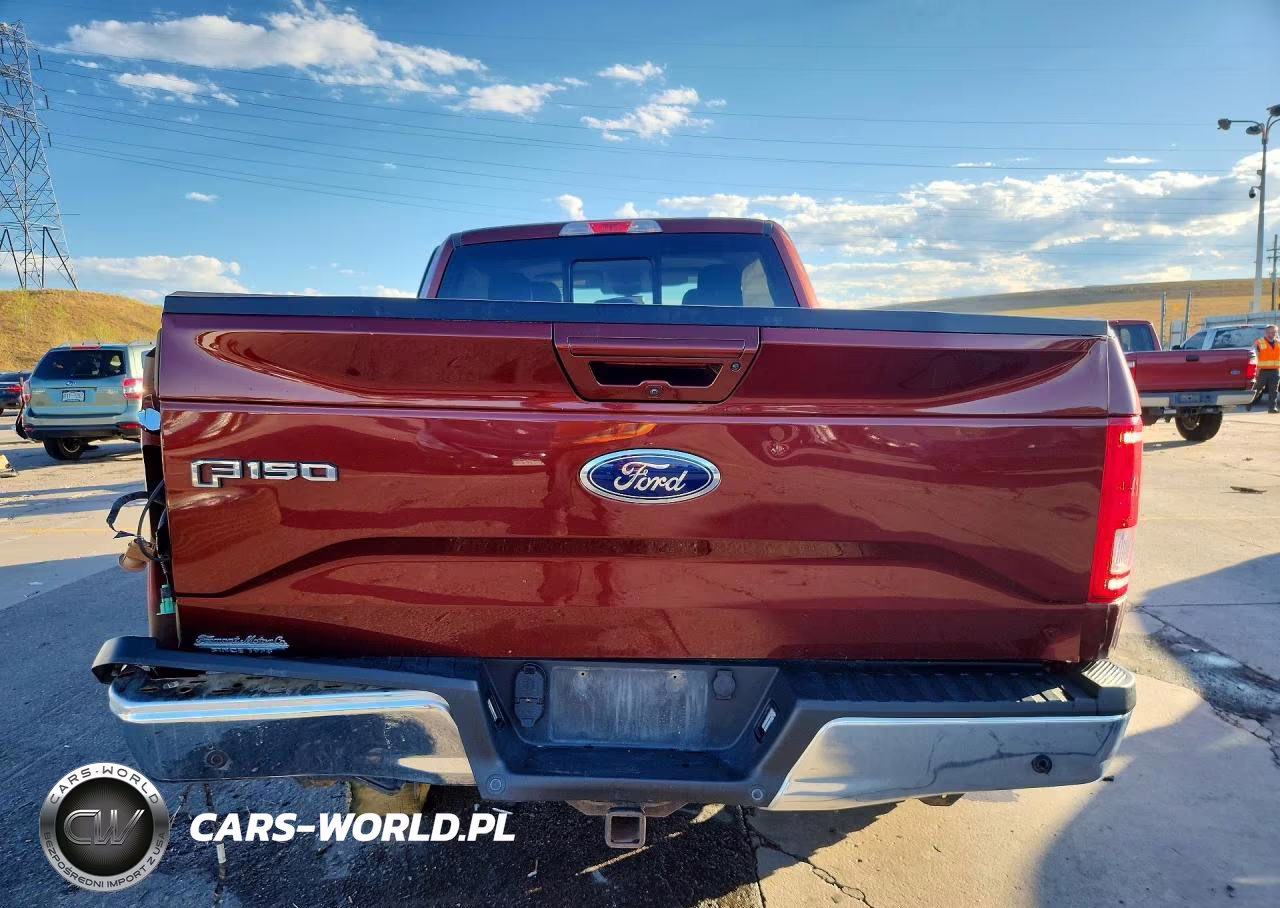 2017 Ford F150 Supercrew VIN:1FTFW1EGXHKC98495 - 6