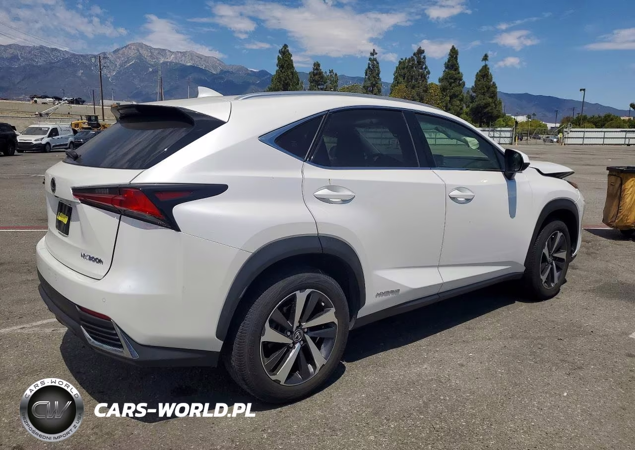 2021 Lexus Nx 300H Base VIN:JTJGJRDZ1M5012009 - 3