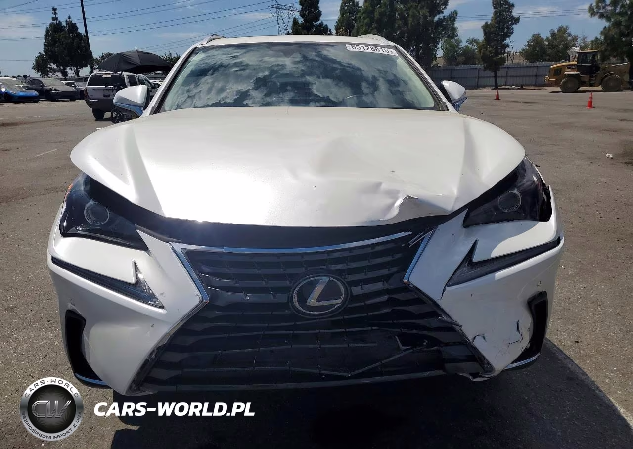 2021 Lexus Nx 300H Base VIN:JTJGJRDZ1M5012009 - 5