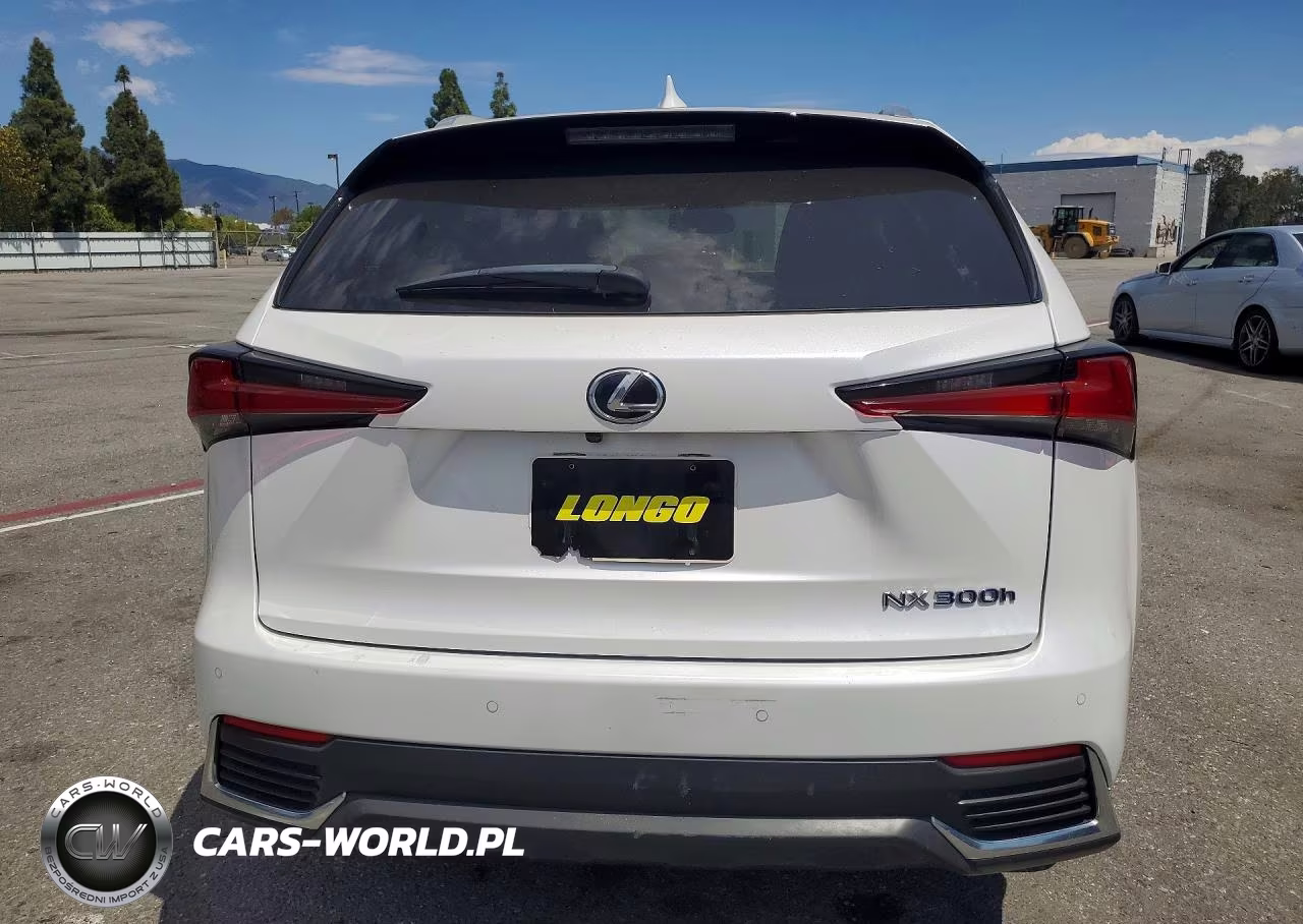 2021 Lexus Nx 300H Base VIN:JTJGJRDZ1M5012009 - 6