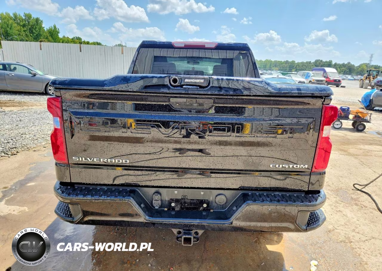2020 Chevrolet Silverado K1500 Custom VIN:1GCPYBEH6LZ299947 - 6