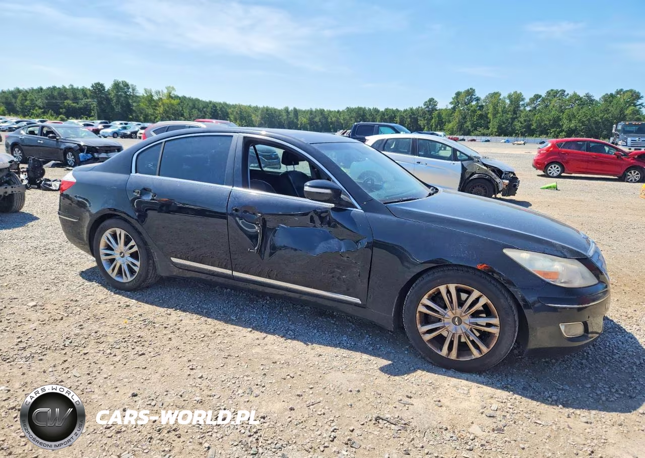 2011 Hyundai Genesis 4.6L VIN:KMHGC4DF2BU115959 - 4