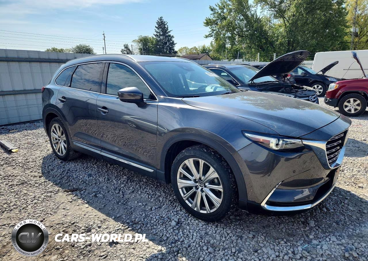 2022 Mazda Cx-9 Signature VIN:JM3TCBEY0N0611899 - 4