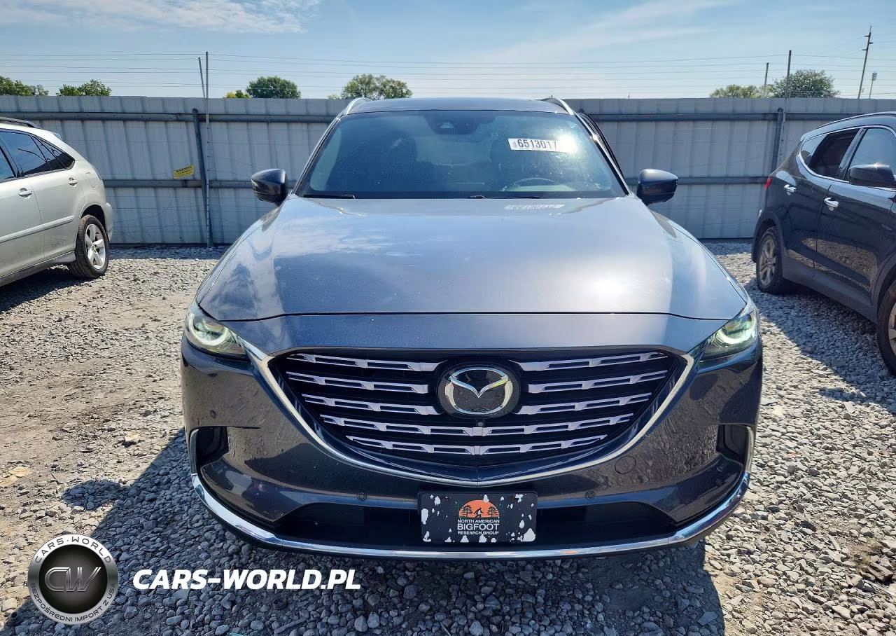 2022 Mazda Cx-9 Signature VIN:JM3TCBEY0N0611899 - 5