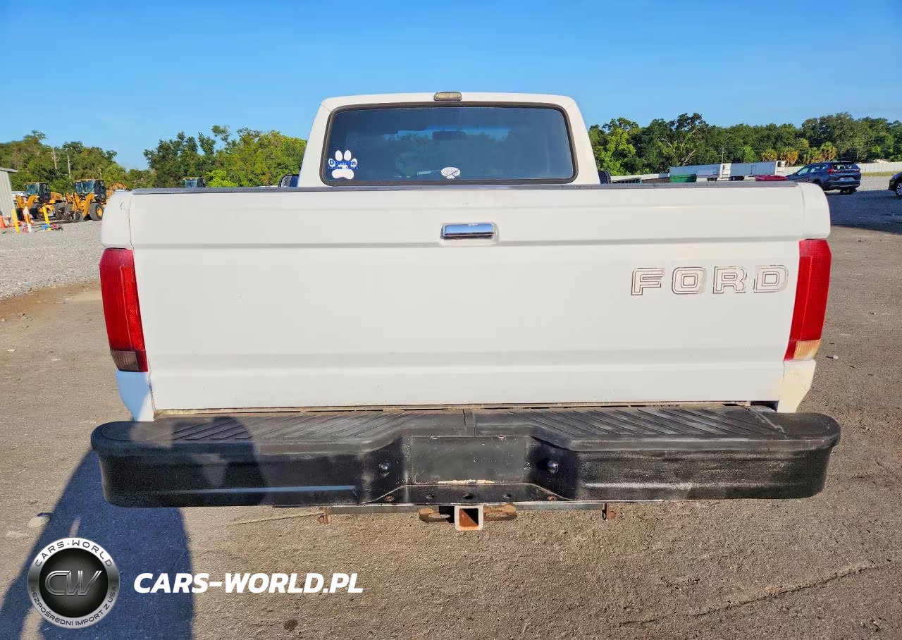 1993 Ford F150 VIN:1FTDF15Y6PNB24937 - 6