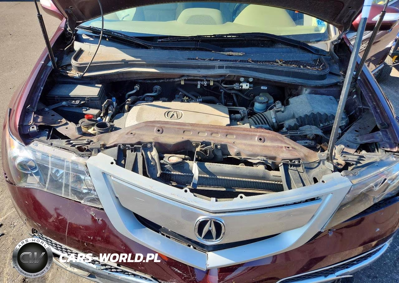 2010 Acura Mdx Technology VIN:2HNYD2H67AH521123 - 12