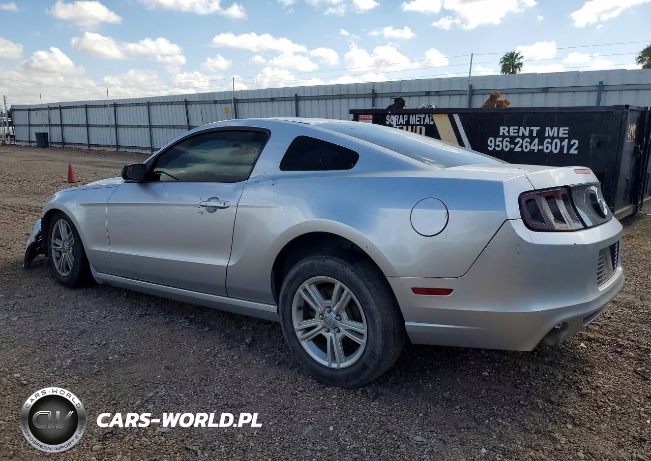 2014 Ford Mustang VIN:1ZVBP8AM2E5320593 - 2