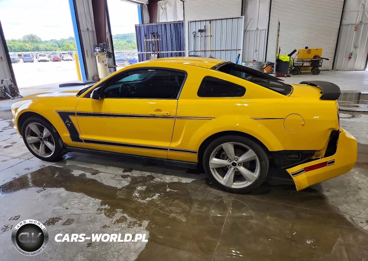 2006 Ford Mustang VIN:1ZVFT80NX65174565 - 2