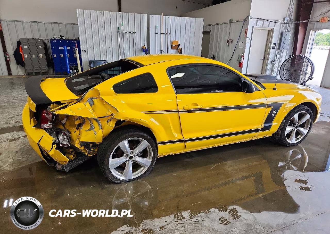 2006 Ford Mustang VIN:1ZVFT80NX65174565 - 3
