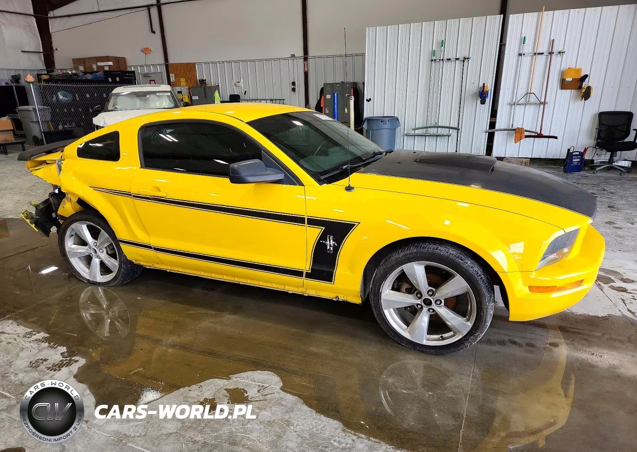 2006 Ford Mustang VIN:1ZVFT80NX65174565 - 4