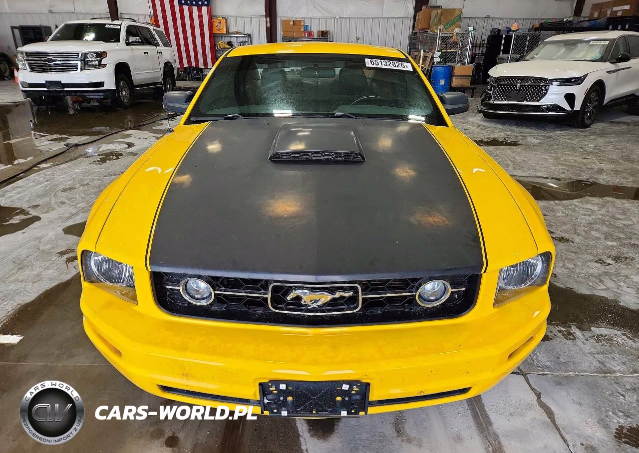 2006 Ford Mustang VIN:1ZVFT80NX65174565 - 5