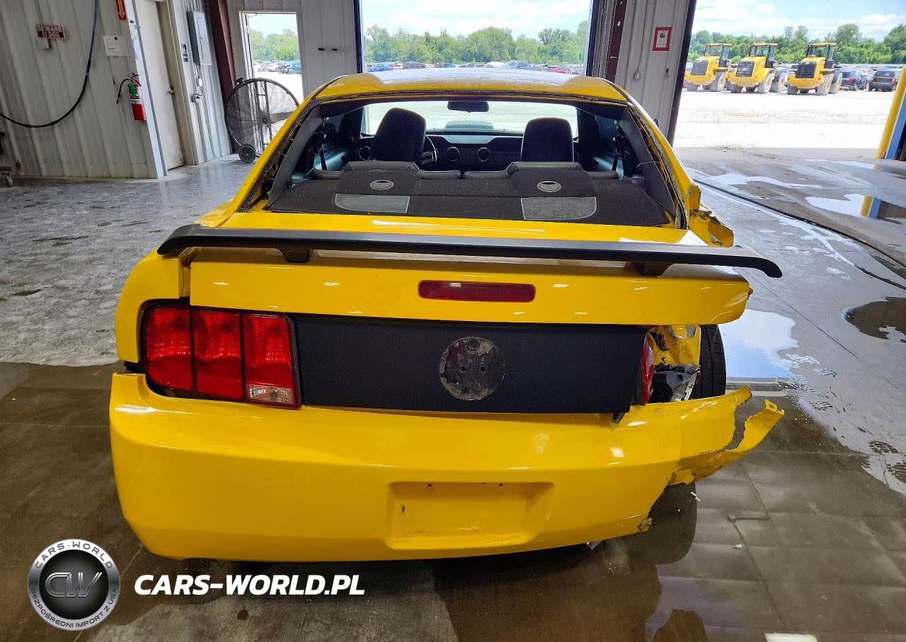 2006 Ford Mustang VIN:1ZVFT80NX65174565 - 6