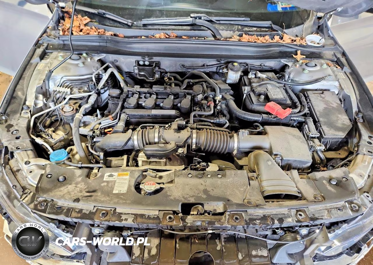 2020 Honda Accord Lx VIN:1HGCV1F12LA019041 - 11
