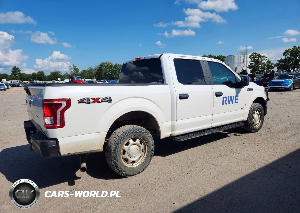 2016 Ford F150 Supercrew VIN:1FTEW1EG1GKD24976 - 3