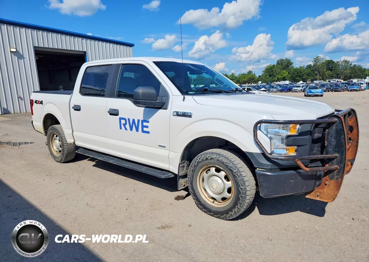2016 Ford F150 Supercrew VIN:1FTEW1EG1GKD24976 - 4